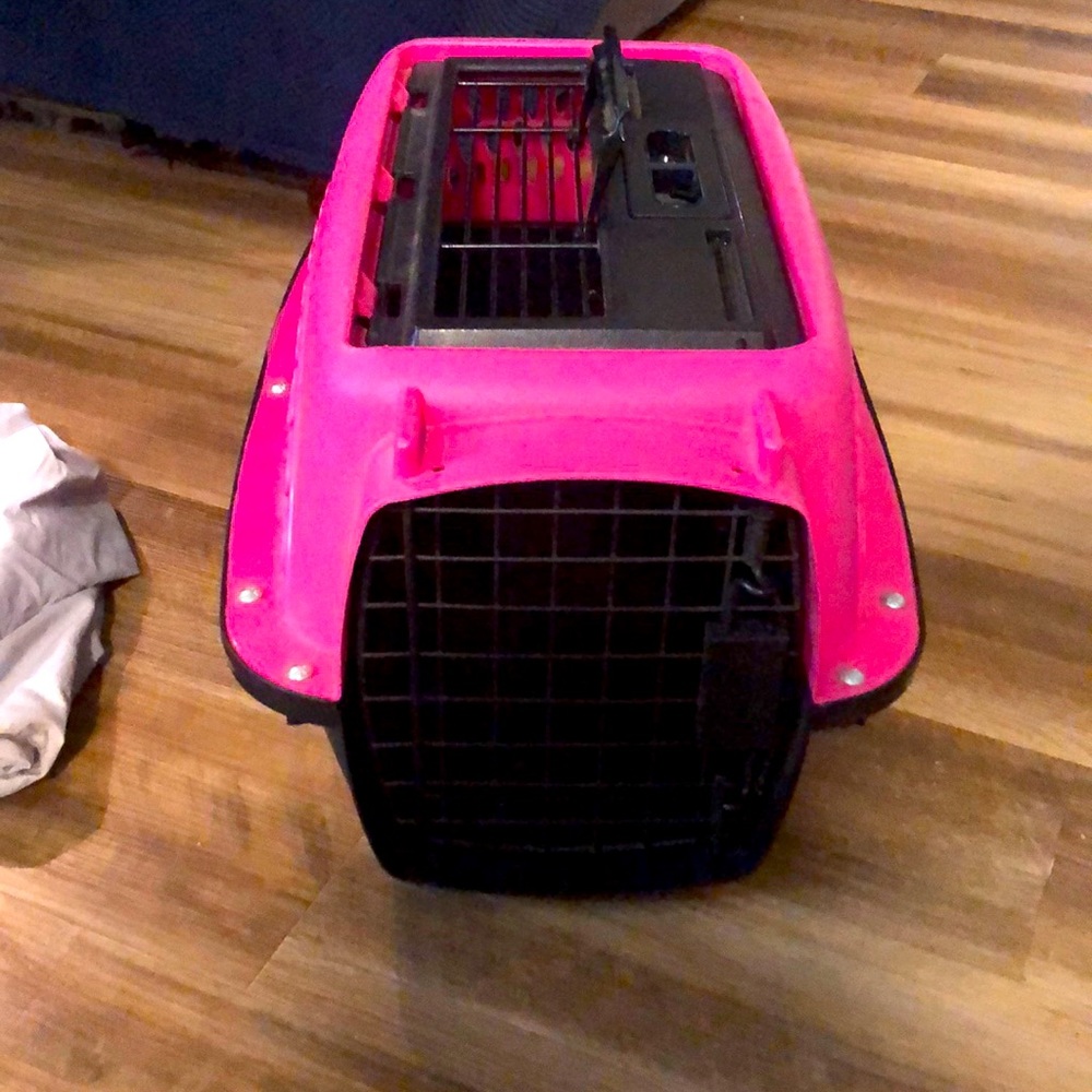 Pet Taxi